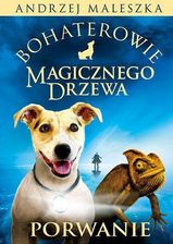 Zdjęcie Porwanie. Bohaterowie Magicznego Drzewa. Tom 1 - Radomsko