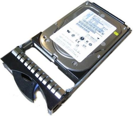 Ibm 300Gb 15K 3.5" Hot Swap -Sas Hdd For Ds3000 42C0242