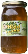 Zdjęcie Bałon Miód Leśny Bio 1050G  - Sędziszów Małopolski