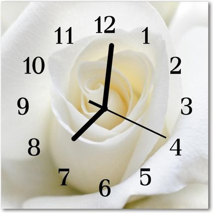 Tulup Zegar Ścienny Kwadrat Biała Róża (Plzsk30X30Nn31158130)