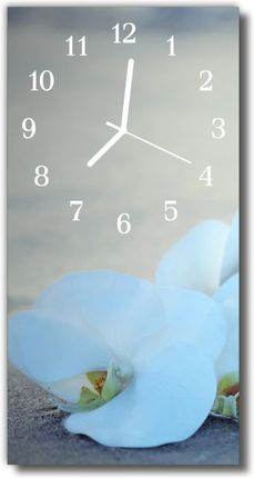 Tulup Zegar Szklany Pionowy Kwiaty Storczyk Biały (Plzsv30X60Nn83928968)