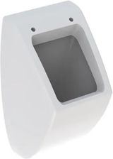 Zdjęcie Geberit Pareo Biały 236100000 - Chojna