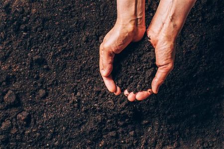 Progarden Kompostownik Ogrodowy 300L - zdjęcie 2