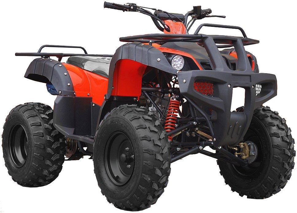 Quad ATV 150 N 150 cc PÓŁAUTOMAT PILOT Koła 10' - Opinie i ceny na Ceneo.pl