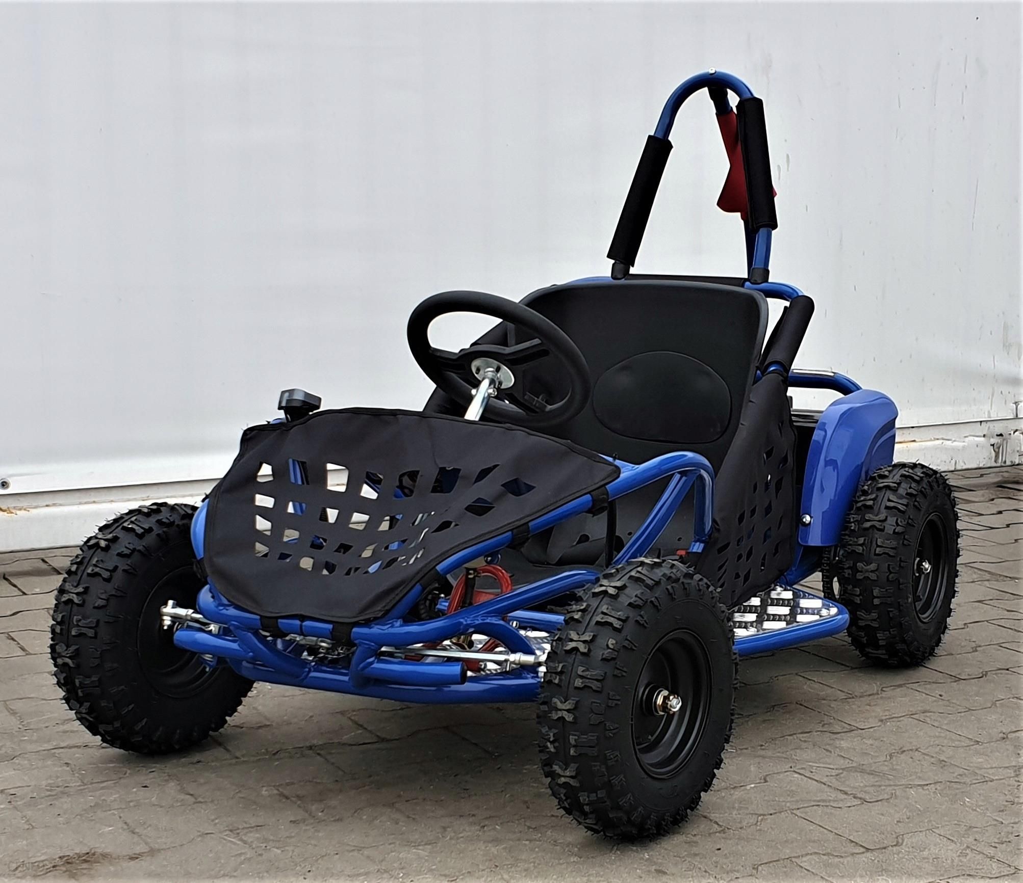 buggy 1000w