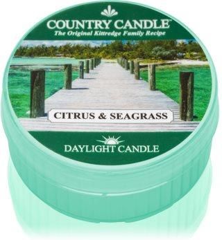 Country Candle Citrus & Seagrass 42 G Świeczka Typu Tealight