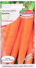Zdjęcie Nasiona Marchew Karotina 3G - Łosice