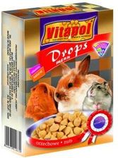 Zdjęcie VITAPOL DROPSY DLA GRYzONI ORzECHOWE 75g - Halinów