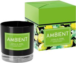 Bispol Ambient Citrus & Herbs Sn81095277