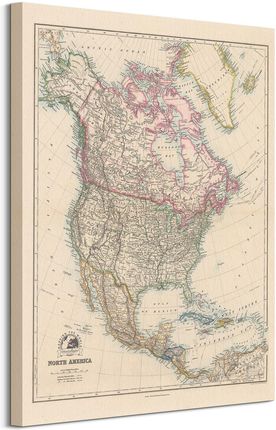 Stanfords Mapa Północnej Ameryki 1884 Obraz Na Płótnie 60X80Cm