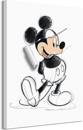 Mickey Mouse Torn Sketch Obraz Na Płótnie 60X80Cm
