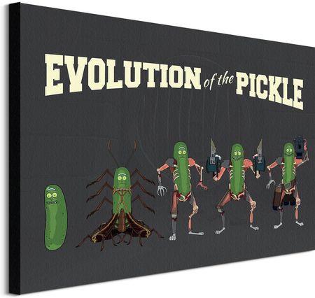 Rick And Morty Evolution Of The Pickle Obraz Na Płótnie 80X60Cm