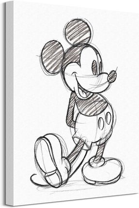 Myszka Mickey Rysunek Obraz Na Płótnie 40X50Cm