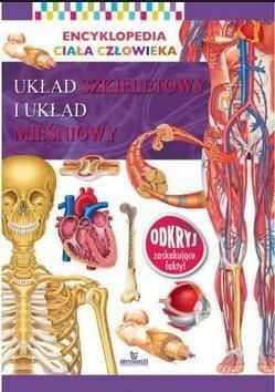 Układ szkieletowy i układ mięśniowy. Encyklopedia ciała człowieka