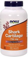 Zdjęcie Now Foods Chrząstka rekina Shark Cartilage 750 mg 300 kaps. - Koronowo