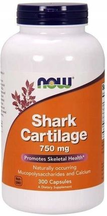 Now Foods Chrząstka rekina Shark Cartilage 750 mg 300 kaps.