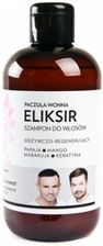 Zdjęcie Ws Academy Eliksir Odżywczo-Regenerujący Szampon Do Włosów Paczula 250Ml - Brodnica