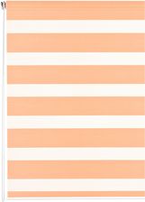 Zdjęcie Gardinia Roleta Mini Zebra Dzień Noc 61,5 Cmx150 Cm (5761820) - Trzebiatów