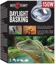Repti Planet Żarówka Daylight Neodymium 25W - Ogrzewanie i oświetlenie terrarium
