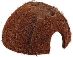 Repti Planet Domek Dla Zwierząt Coco Shell M