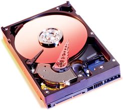 WD Caviar SE 160GB 8MB SATA (WD1600JD)