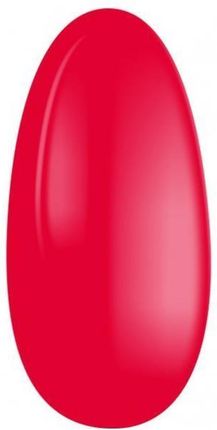 Chiodo Pro Red Color Lakier hybrydowy do paznokci 725-redrock