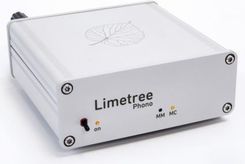 Zdjęcie LINDEMANN LIMETREE PHONO - Nowy Dwór Mazowiecki