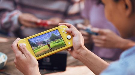 Nintendo Switch Lite グレー　ソフト付き Nintendo Switch Lite Gray - Ceny i opinie - Ceneo.pl