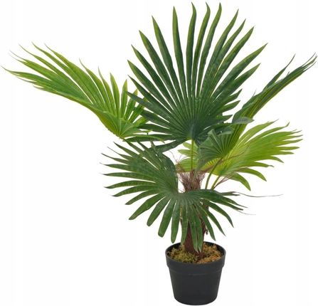 Sztuczna palma z doniczką, zielony, 70 cm 280192