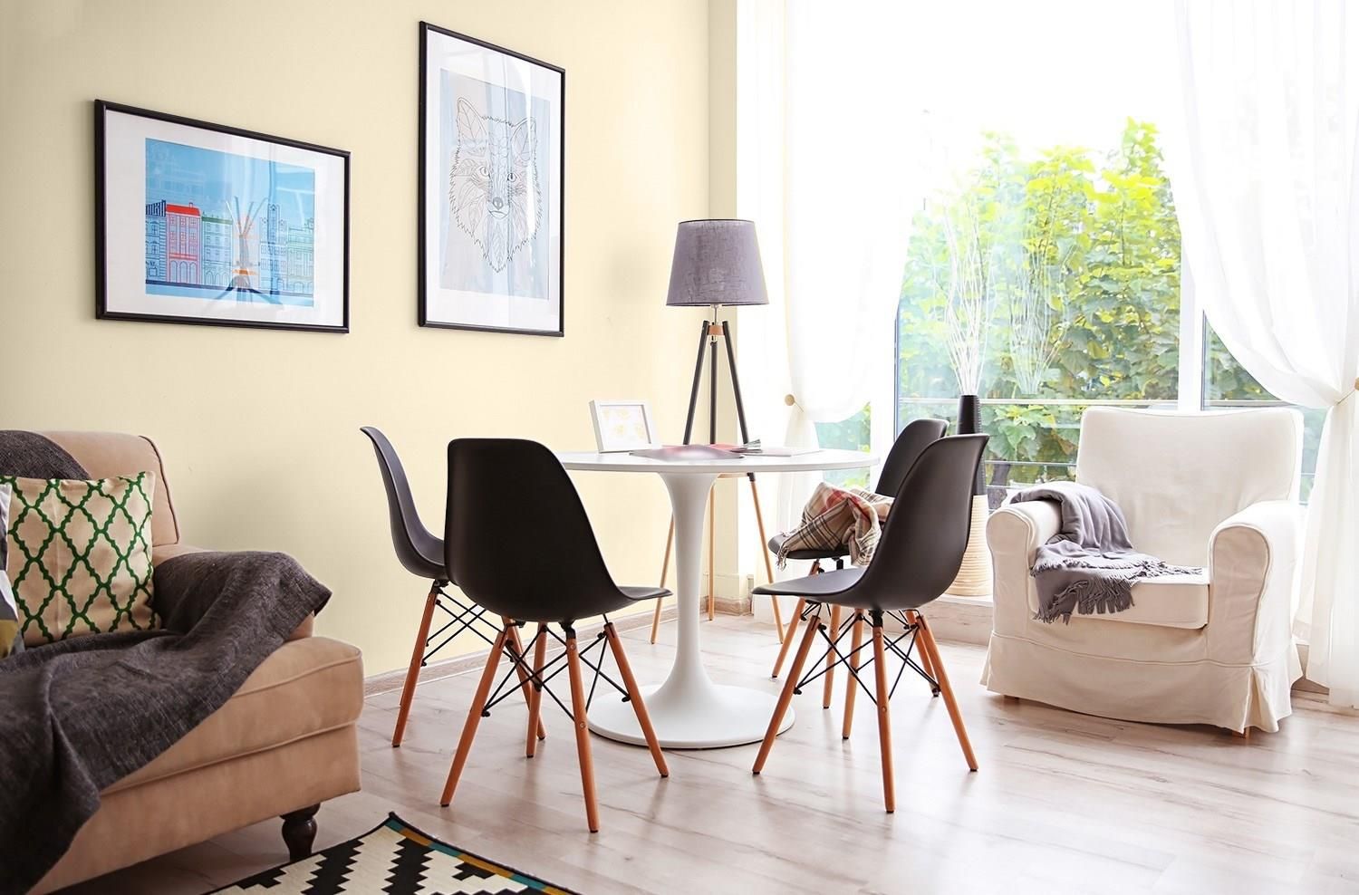 Farba Magnat Ceramic Care A41 Kremowy Marmur 2,5L Opinie i ceny na Ceneo.pl