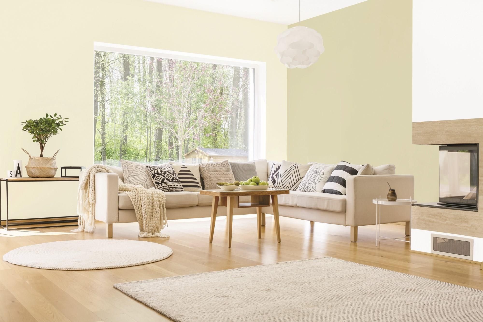 Farba Magnat Ceramic Care A42 Eteryczny Awenturyn 2,5L Opinie i ceny na Ceneo.pl