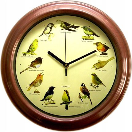 Zegar śpiewające Ptaki odgłosy Ptaków ptasi Śpiew