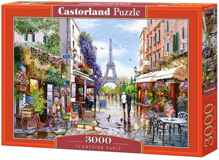 Castorland Puzzle Fowering Paris 3000El.