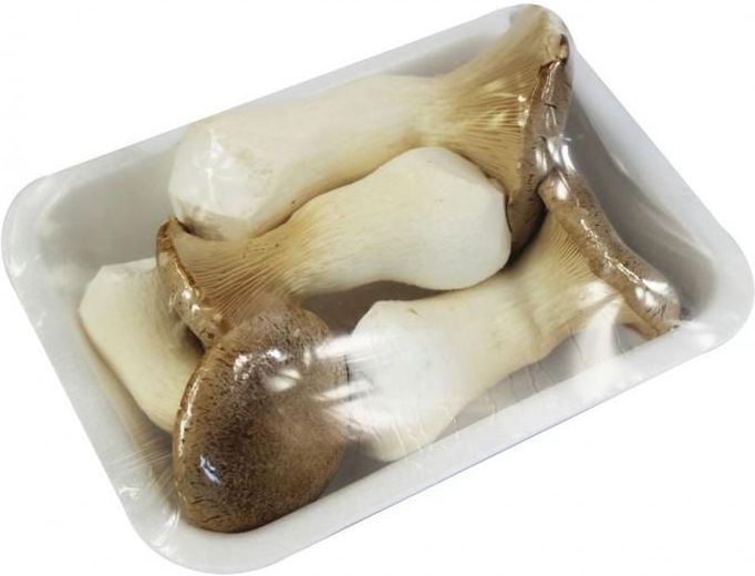 Świeże Grzyby Eryngii Borowik Stepowy Bio Polska Około 0,20Kg Ceny i