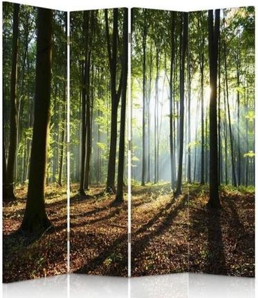 Feeby Parawan Pokojowy Czteroczęściowy Dwustronny Canvas Promienie Słońca W Lesie (1353312400889)