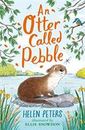 Zdjęcie Otter Called Pebble - Nowy Sącz