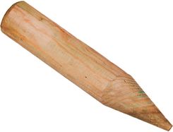 Zdjęcie Minipalisada Zieleń 6 Cm X 30 Cm - Suwałki