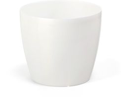Zdjęcie Lamela Osłonka Magnolia 18 Cm Biała Perła - Borek Wielkopolski