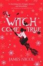 Zdjęcie Witch Come True (Nicol James) - Wrocław
