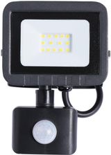 Zdjęcie Ecolight Naświetlacz LED Halogen Slim z czujnikiem 10W IP65 6500K Zimna (EC79520P) - Maków Podhalański