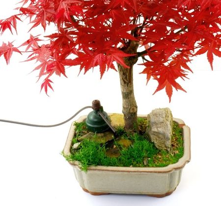 bauhaus bonsai erde Green Home Bonsai Bundle