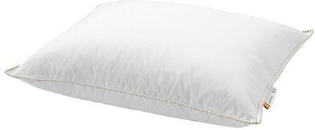 Ikea Guldpalm Poduszka 20269554