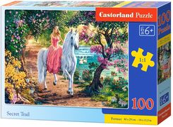 Zdjęcie Castorland Puzzle 200El. Sekretny Szlak - Górzno