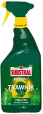 Zdjęcie Substral Mniszek Ultra Hobby Al 750 Ml - Chojnów