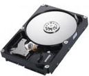 Samsung SpinPoint F4 320GB (HD322GJ)