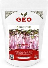 Zdjęcie Czerwona kapusta kiełki Geo certyfikowane 300g - Kartuzy