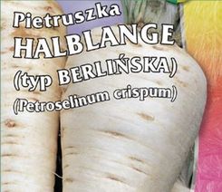 Zdjęcie Legutko Pietruszka Berlińska 5G - Prochowice