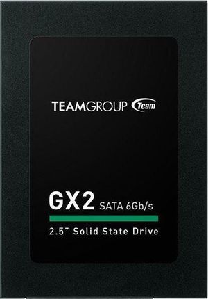 Team Group GX2 256GB 2,5" (T253X2256G0C101)