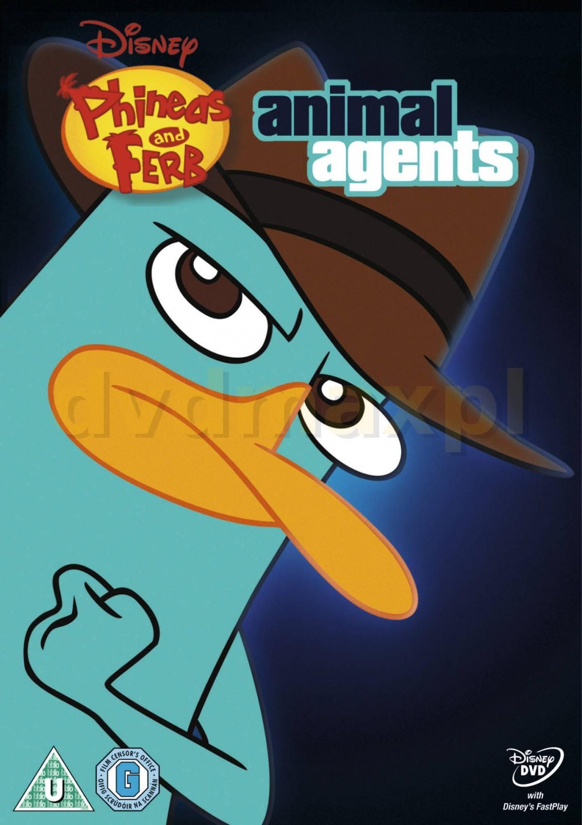 Film DVD Phineas And Ferb: Animal Agents [DVD] - Ceny i opinie - Ceneo.pl