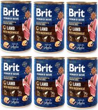 Zdjęcie Brit Premium By Nature Lamb With Buckwheat 6X400G - Prudnik